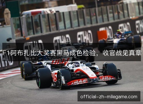 F1阿布扎比大奖赛黑马成色检验，收官战见真章